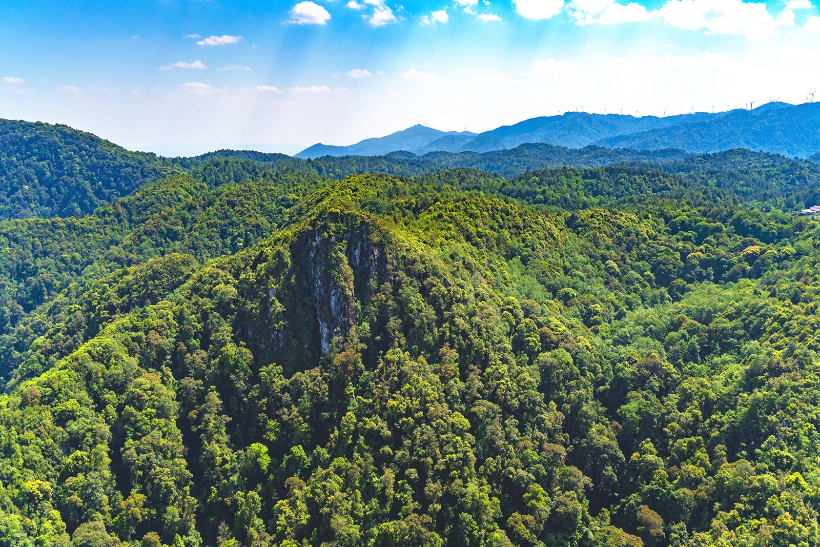 犀牛厉害还是豹子厉害